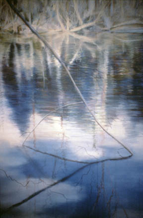 Beaver Dam