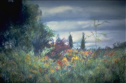Ithaca Landscape